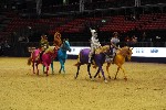 Quadrille - 00504